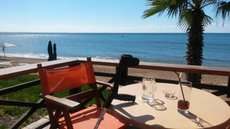 Beach Bar